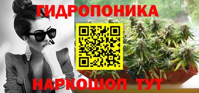 ECSTASY Гусь-Хрустальный