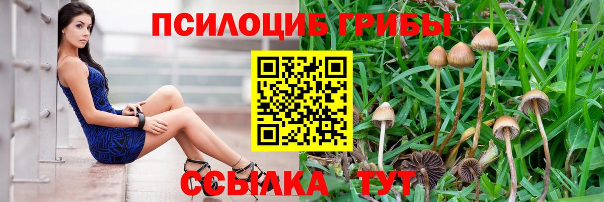 Галлюциногенные грибы мицелий Севастополь